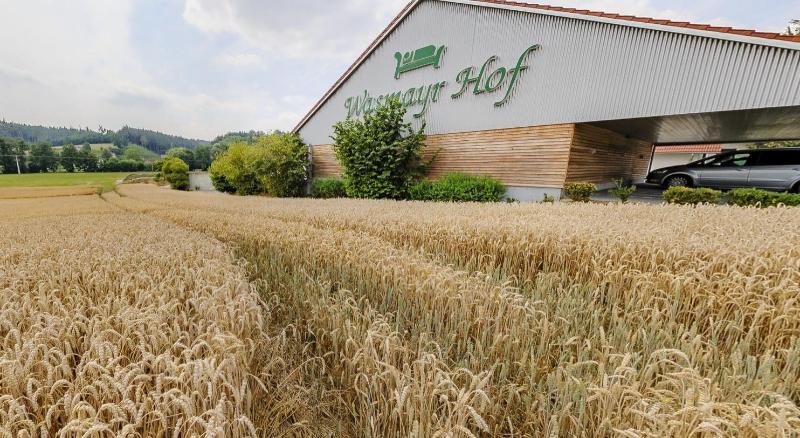 酒店 Wasmayr Hof