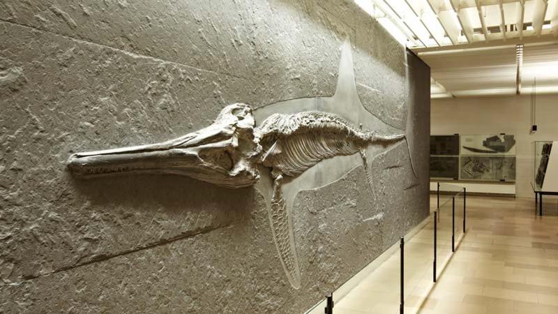 בית מלון כפרי Evangelische Tagungsstätte Bad Boll