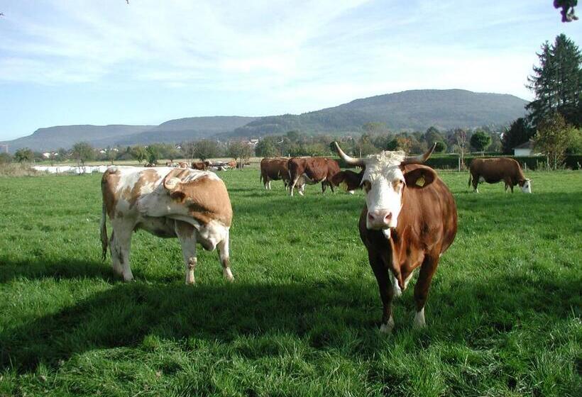 בית מלון כפרי Evangelische Tagungsstätte Bad Boll