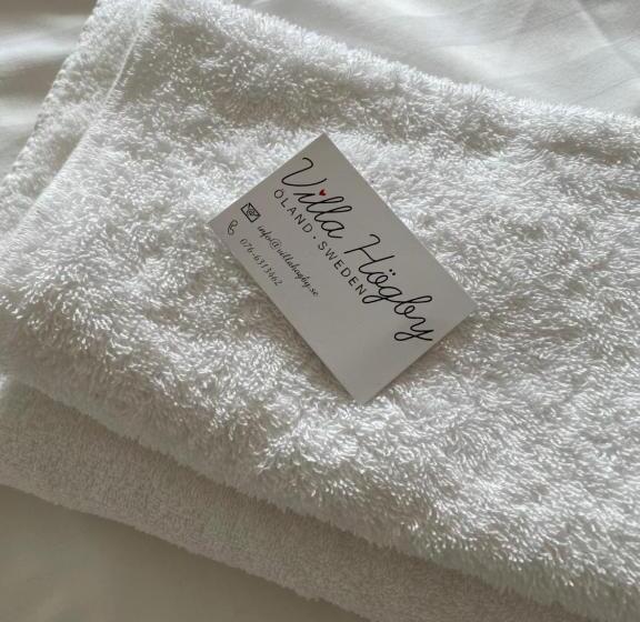 הוסטל Villa Högby