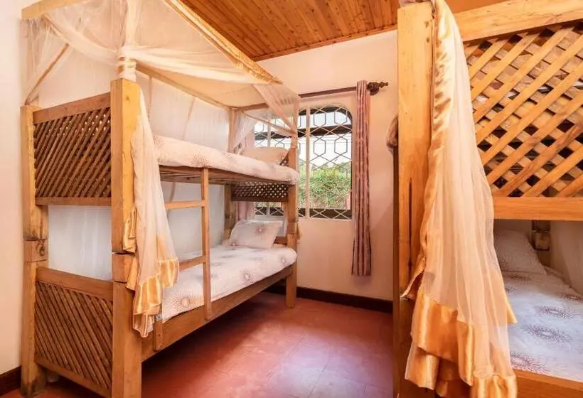 ベッドアンドブレックファースト Dreamer S Accommodation Arusha