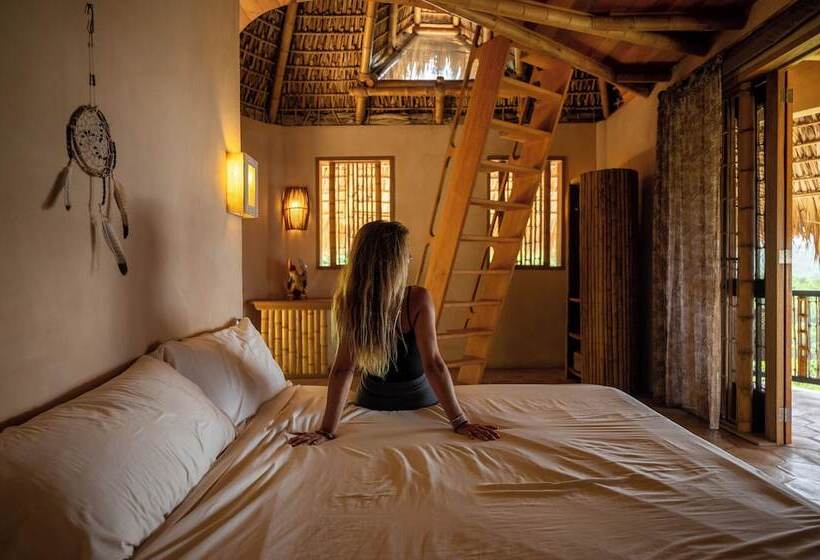 مبيت وإفطار Nani