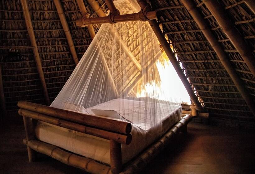 مبيت وإفطار Nani