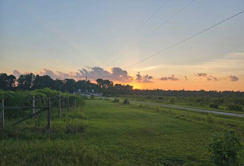 בית מלון כפרי Phoenix Farms Vineyard
