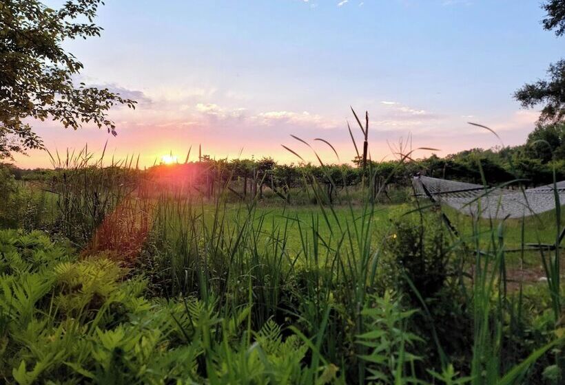 בית מלון כפרי Phoenix Farms Vineyard