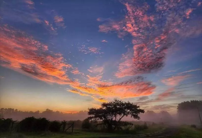 Hotelli Phoenix Farms Vineyard