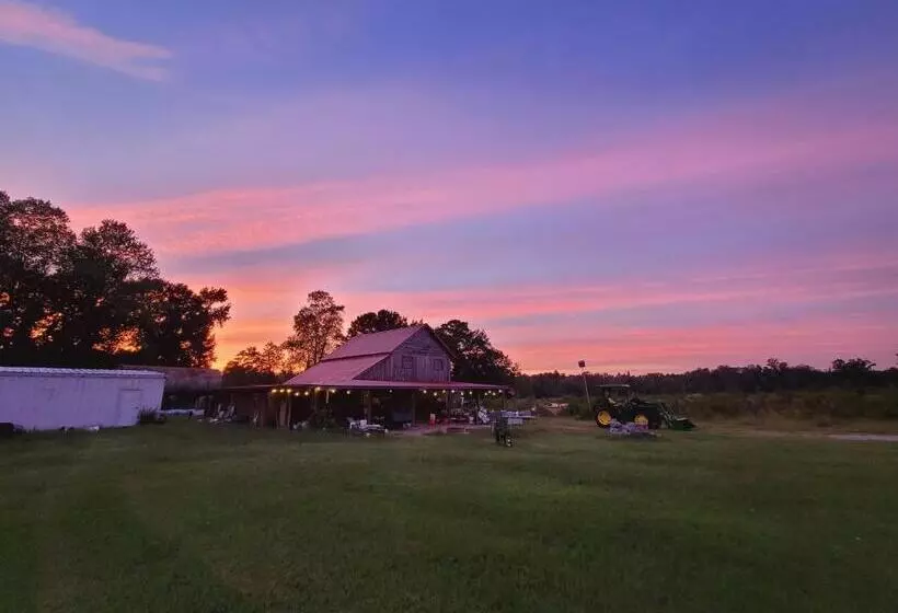 Hotelli Phoenix Farms Vineyard