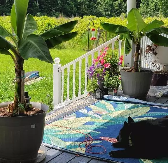 Hotelli Phoenix Farms Vineyard