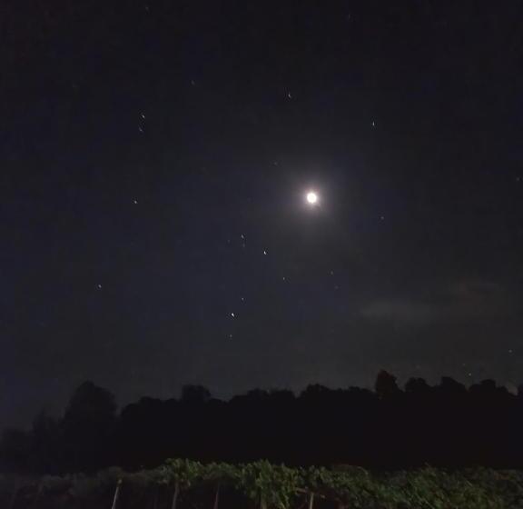 בית מלון כפרי Phoenix Farms Vineyard