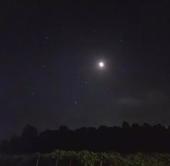 Hotelli Phoenix Farms Vineyard