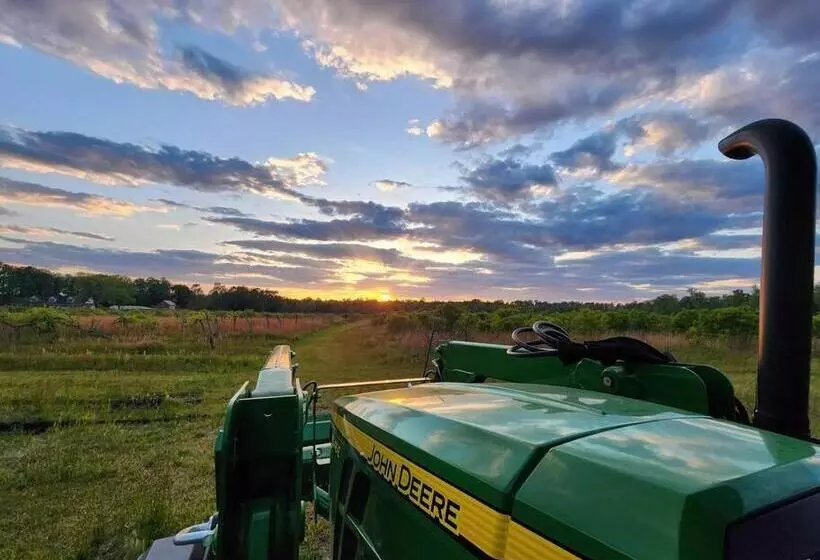 Hotelli Phoenix Farms Vineyard