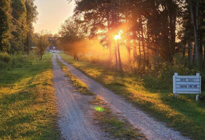 בית מלון כפרי Phoenix Farms Vineyard