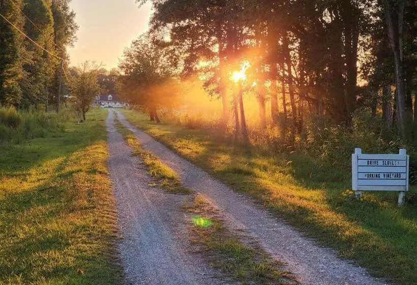 Hotelli Phoenix Farms Vineyard