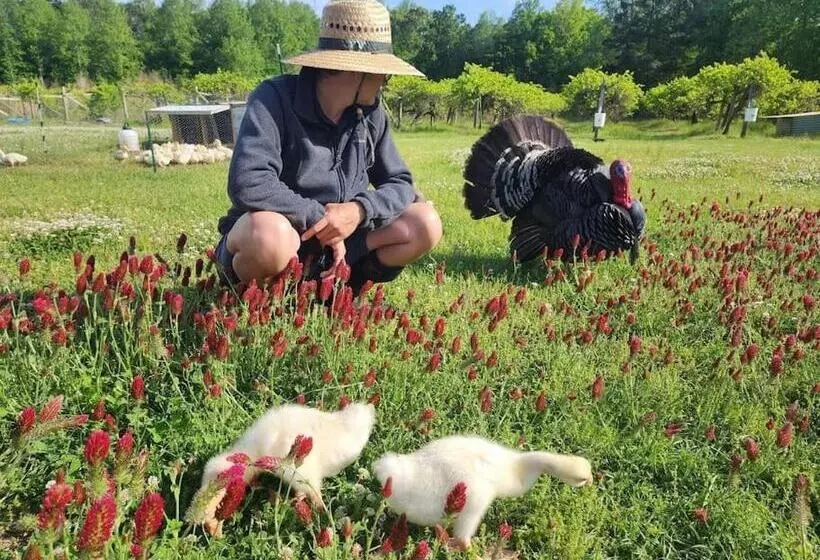 Hotelli Phoenix Farms Vineyard