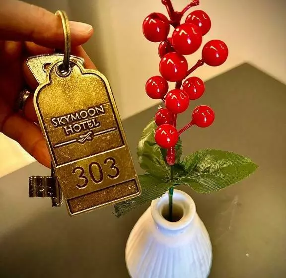 Hotelli Skymoon Istanbul Airport