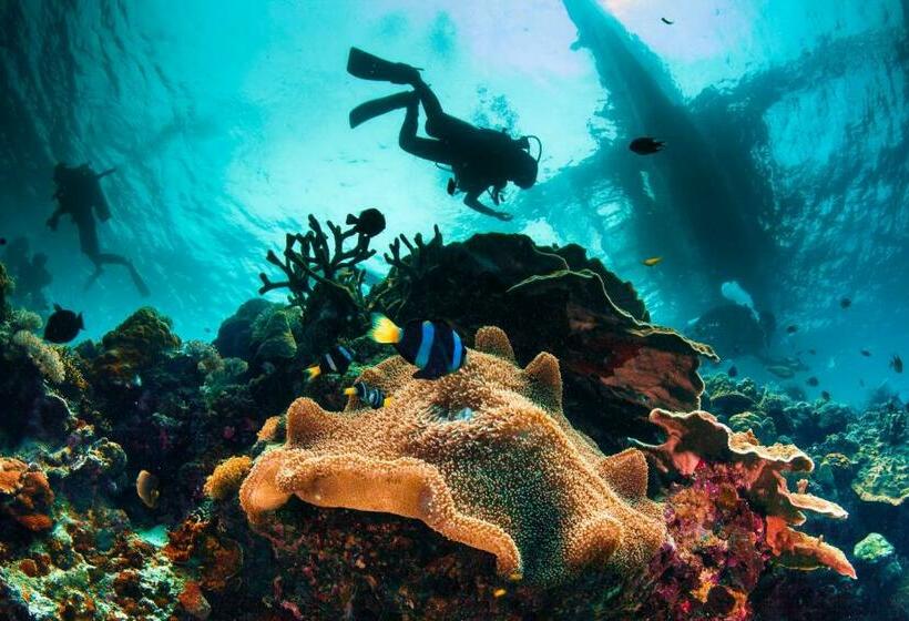 The Neela Boutique Hotel Stone Town