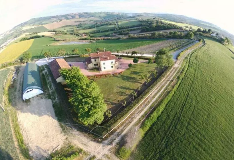 ホテル Agriturismo La Casa In Collina