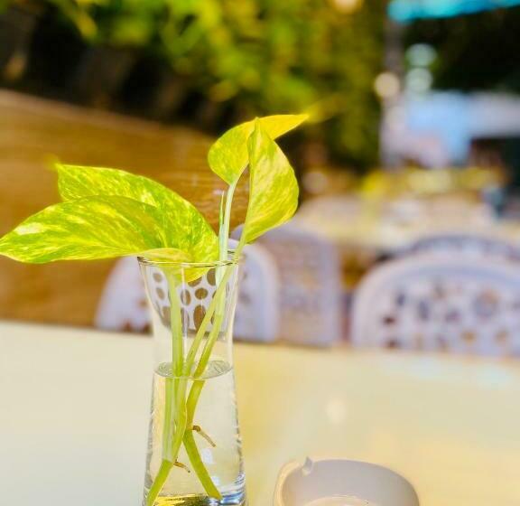 Capsule Hotel Capsule Riverside