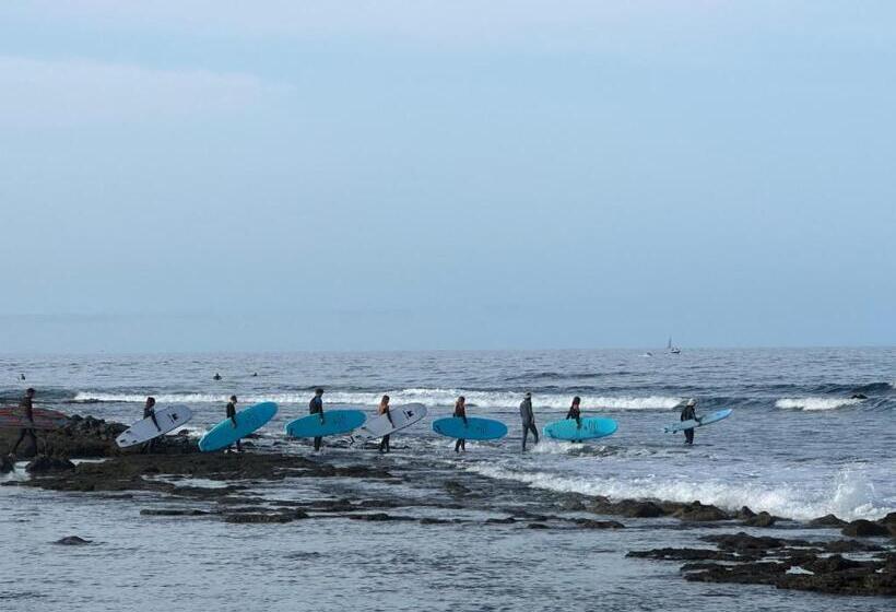 تختخواب و صبحانه Endless Summer Vibes