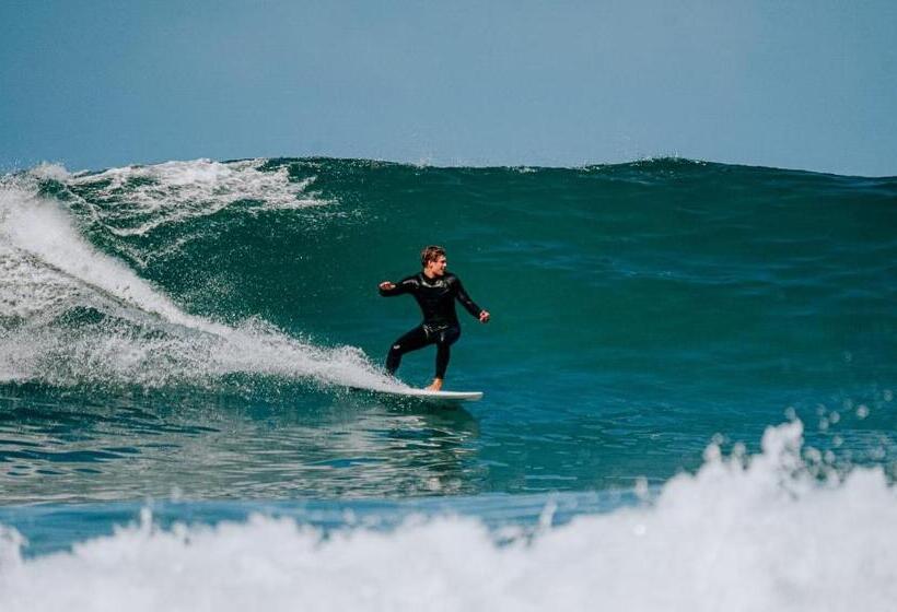 تختخواب و صبحانه Endless Summer Vibes