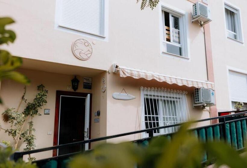 تختخواب و صبحانه Endless Summer Vibes