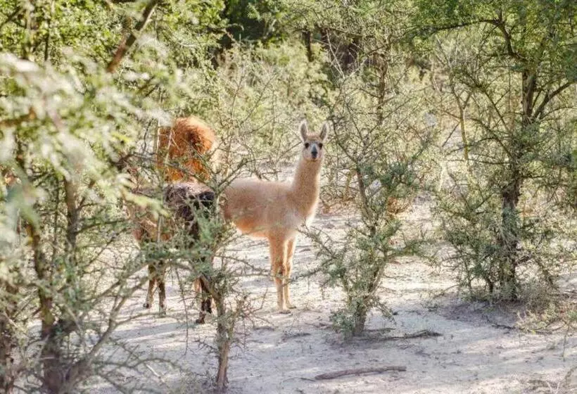 Hotelli Estancia Rio De Arena