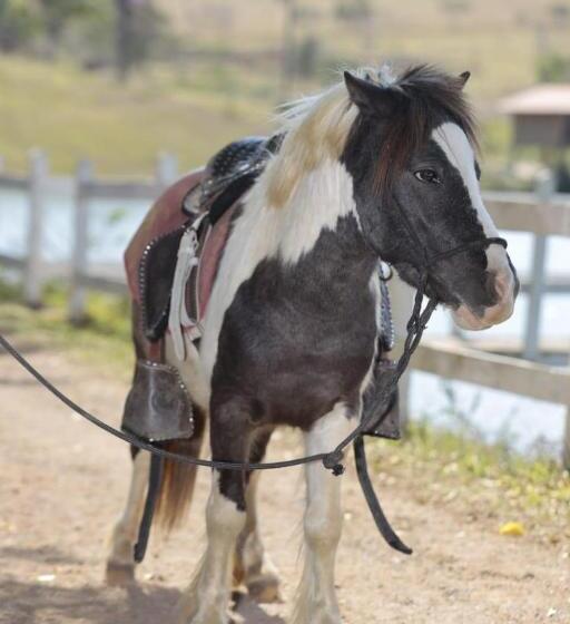 酒店 Fazenda Da Lagoa