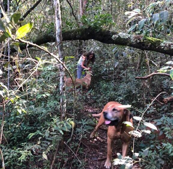 酒店 Fazenda Da Lagoa