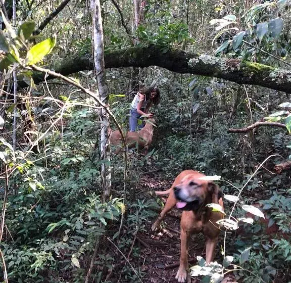 ホテル Fazenda Da Lagoa
