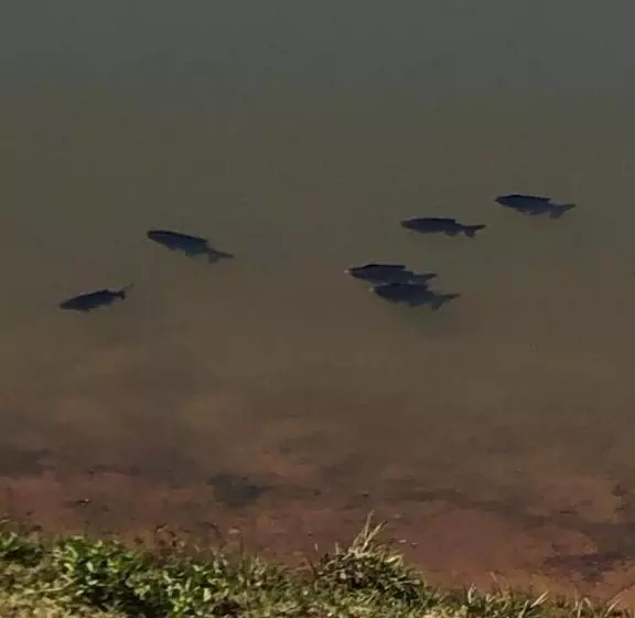 ホテル Fazenda Da Lagoa
