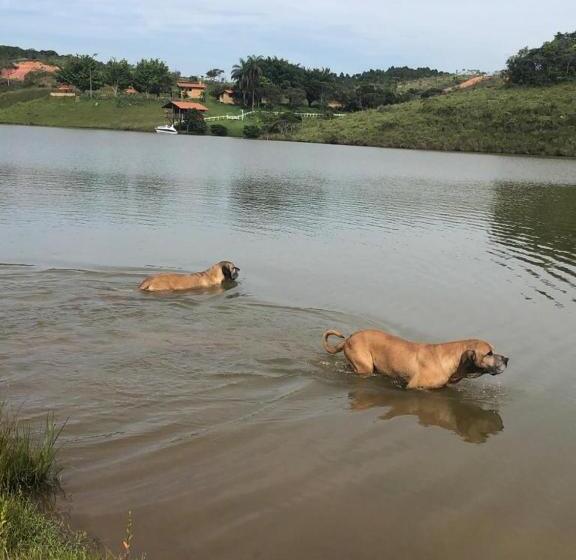 酒店 Fazenda Da Lagoa