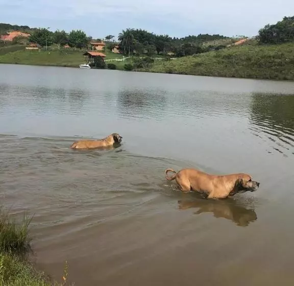 ホテル Fazenda Da Lagoa