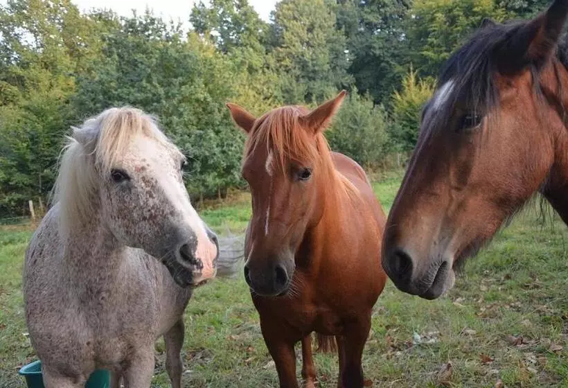 Majatalo Le Relais D Eugénie Maison D Hôtes En Forêt D Orléans