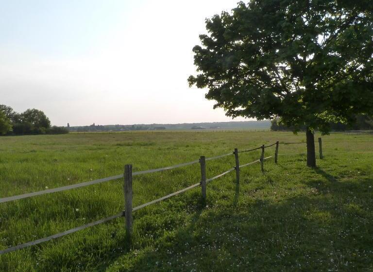 Pension Le Relais D Eugénie Maison D Hôtes En Forêt D Orléans