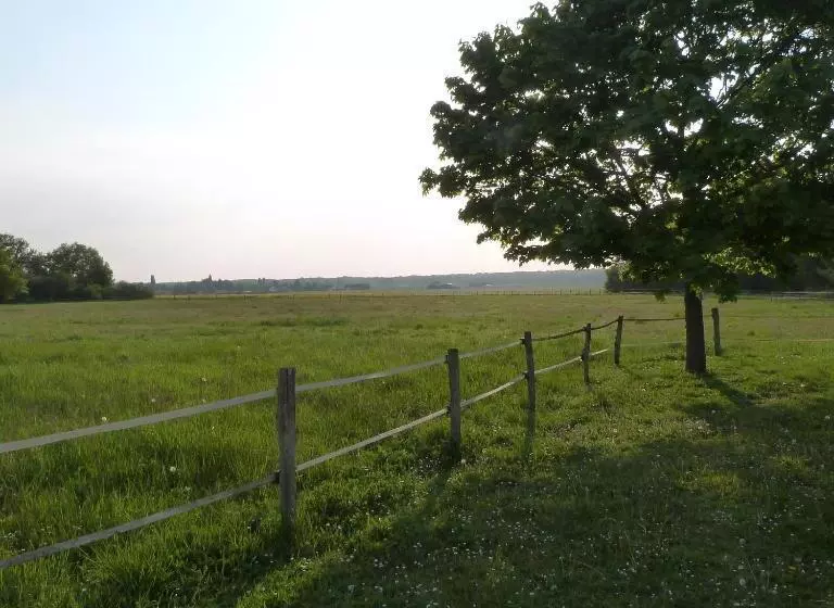 Majatalo Le Relais D Eugénie Maison D Hôtes En Forêt D Orléans