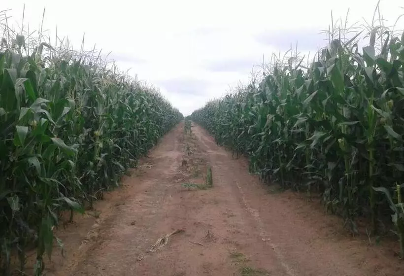 ホテル Green Thumb Farm Stay