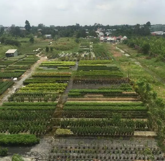 هتل Mỹ Anh