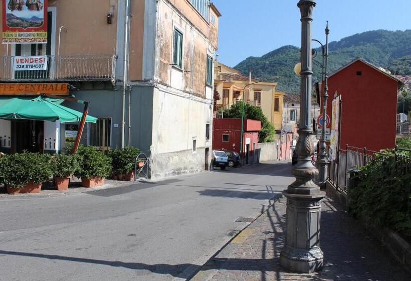 פנסיון Ali House