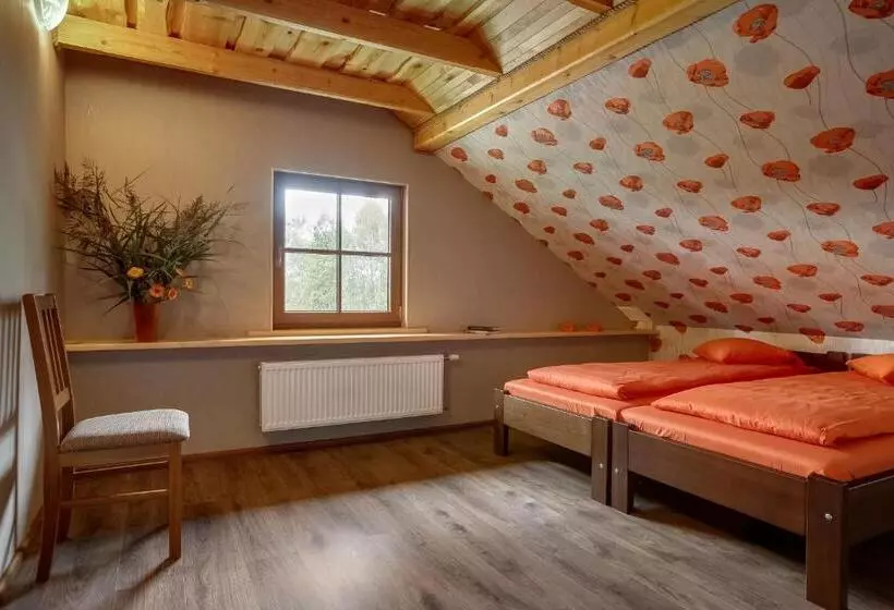 پانسیون Paegli Guest House