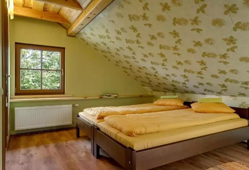 پانسیون Paegli Guest House