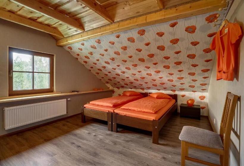 پانسیون Paegli Guest House