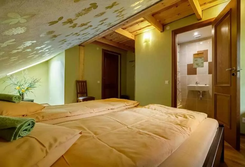 پانسیون Paegli Guest House