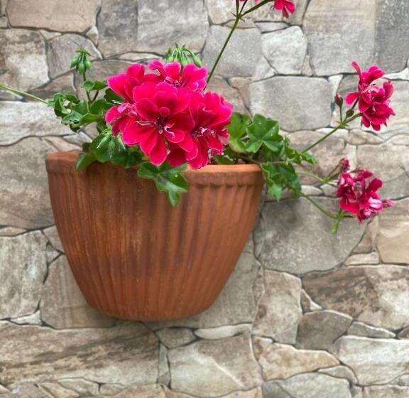 Pensión Residencia Casa Teresa