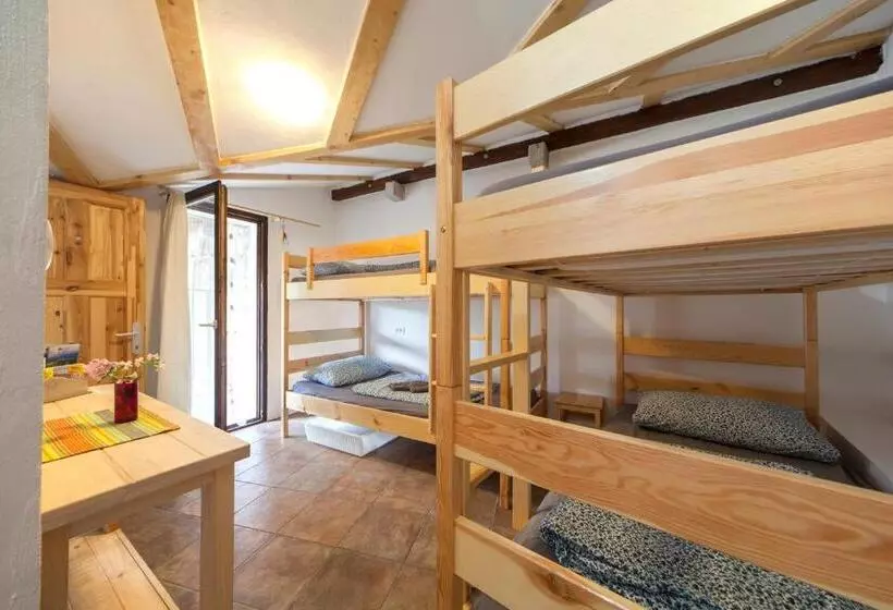Hostel Xaxid
