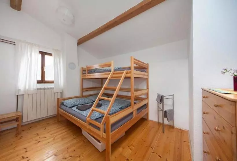 Hostel Xaxid