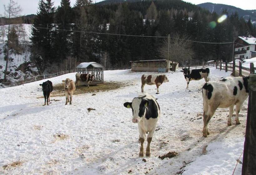 酒店 Agritur Al Molin