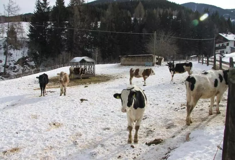 ホテル Agritur Al Molin