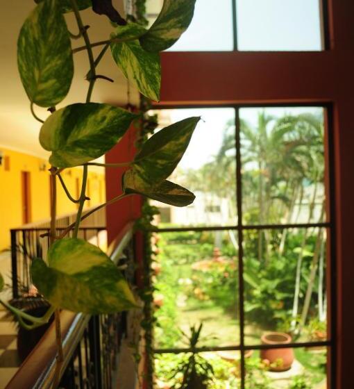 호텔 Palmarena Plaza Rodadero