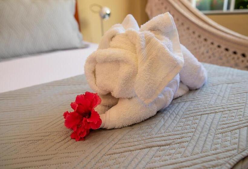 בית מלון כפרי Pousada Sítio Ipê