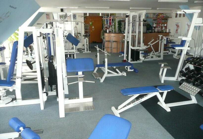 膳宿费 Penzion Bolatice